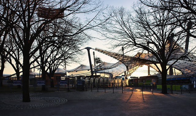 津门虎将在11月16日举办年票球迷开放日活动，共100个名额