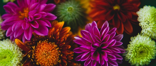 魏祥鑫：法国球员技术上并不比我们优秀多少，但身体条件更好